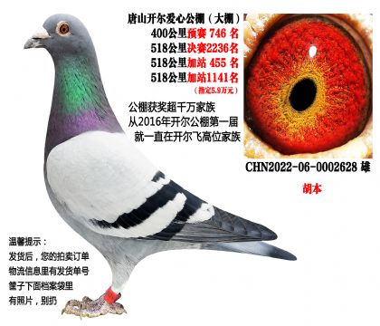 ��ɽ����������������16800Ԫ���ɼ���