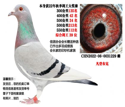 22���＾��������������᳤�����ָ루���ǲ��ˣ�