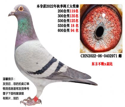 22���＾��ظ�����550����18����600����94��