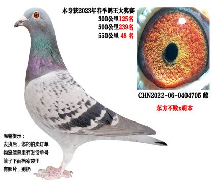 23�괺����سɼ��룬550����48������������x������