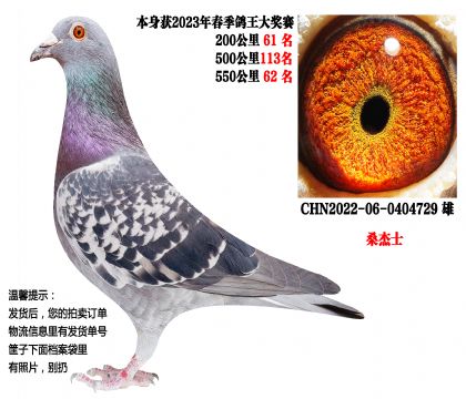 23�괺����سɼ��룬550����62����ɣ��ʿ��