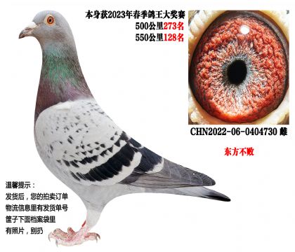 23�괺����سɼ��루�������ܣ�