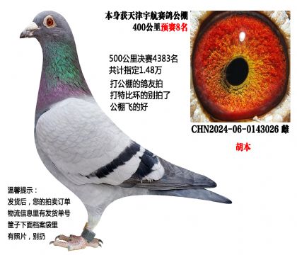 ��������400����Ԥ��6�������������壩