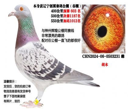 �����������ﴺ��ɼ��룬�����ݻԻ͹���ͬ����