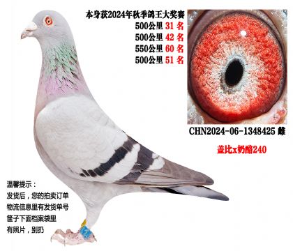 24���＾4��500����Ǳ�x����240��