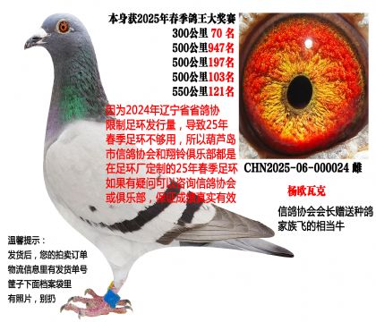 25�괺��������ɼ��룬���᳤�����ָ루��ŷ�߿ˣ�