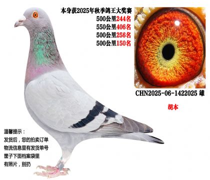 25���＾4��500����ɼ��루������