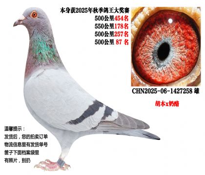 25���＾4��500����ɼ��루����x���ң�