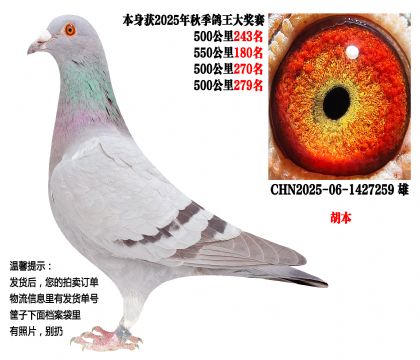 25���＾4��500����ɼ��루������