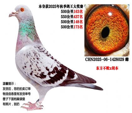 25���＾4��500����ɼ��루��������x������