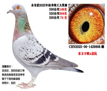 25���＾���500����ɼ��루��������x�Ǳȣ�