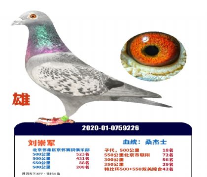 500�����λ