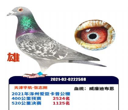 ������־��