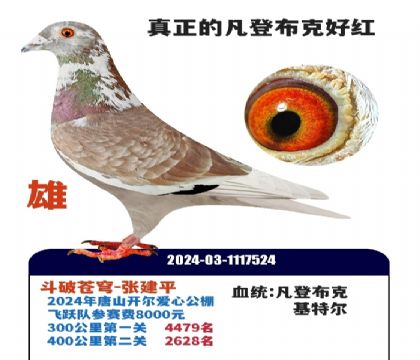 ��ɽ�������ǲ��˺ú�