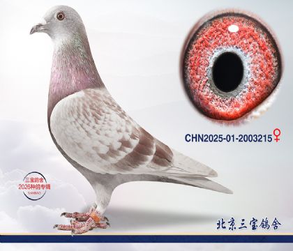 14.����396��Ѫq.2003215