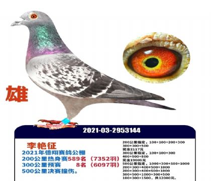 Ԥ��8����һ���ϰ�