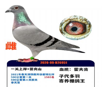 ����������ˬɽ