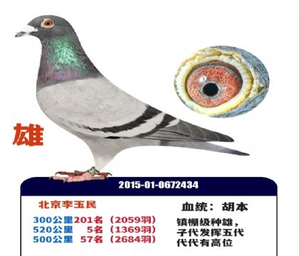 ��λ������