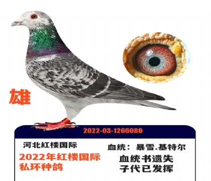 ��¥���ʱ�ѩ���ض�