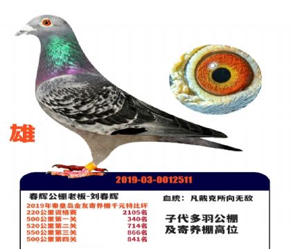 ���Թ����ϰ�������