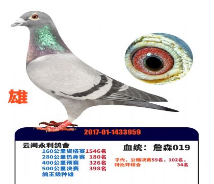 ��˳�¹������