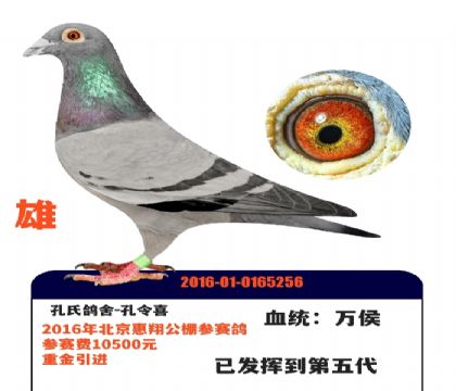 ���ϸ�ҵ-����ϲ