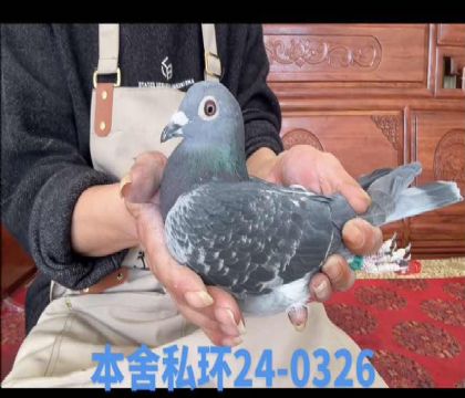 Ұ����ֱ��x�ɷư����0326