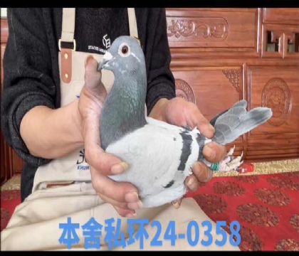 ��ɯ����x����ƥ�˲���ֱ��Ů0358