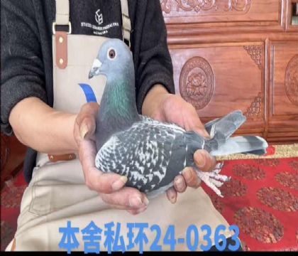 Ұ����ֱ��x������ֱ��Ů0363