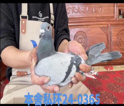 ���ض�ֱ��x���ض�ֱ��Ů0365