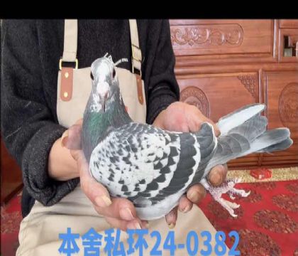 ��������ϣֱ��x����������Ů0382