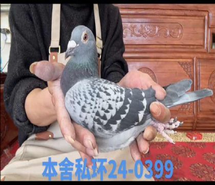 ����ƥ�����˹ֱ��x����ƥ�����˹ֱŮ0399