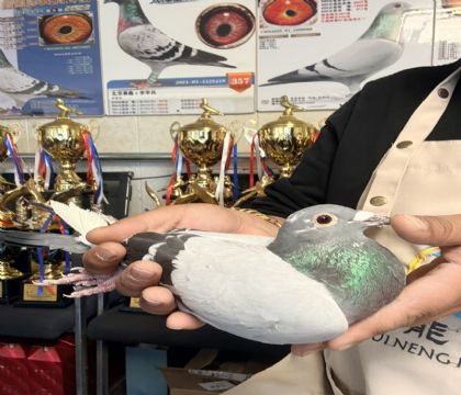 1.�����ָ�318