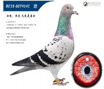 迪克凡戴克原舍(超级种雄,多关利器)