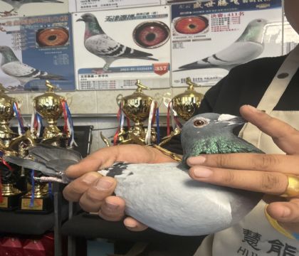 2.�����ָ�222