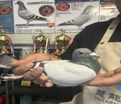 3.�����������ָ�285