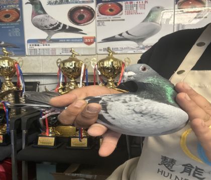 4.�������ܽ��Դ���������414