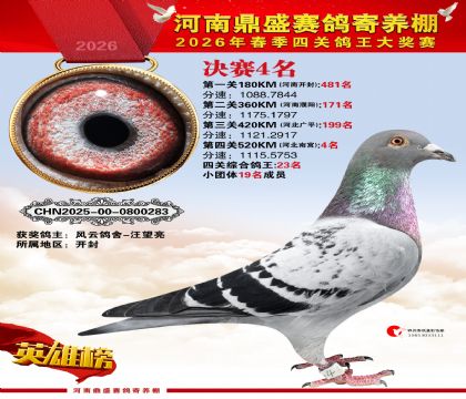 2026鼎盛春季赛决赛排位第4名