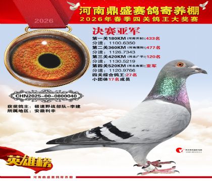 2026鼎盛春季赛决赛排位第2名