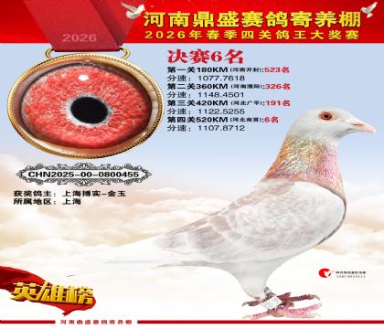 2026鼎盛春季赛决赛排位第6名