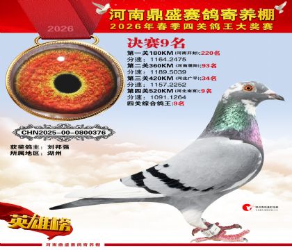 2026鼎盛春季赛决赛排位第9名