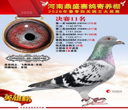 2026鼎盛春季赛决赛排位第11名