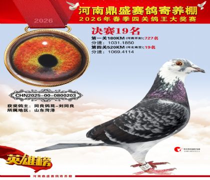 2026鼎盛春季赛决赛排位第19名