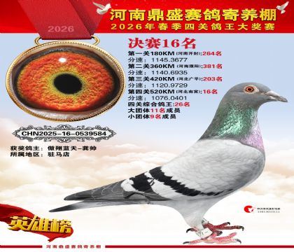 2026鼎盛春季赛决赛排位第16名