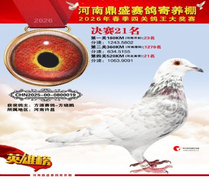 2026鼎盛春季赛决赛排位第21名