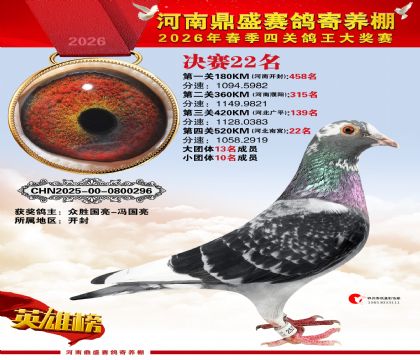 2026鼎盛春季赛决赛排位第22名