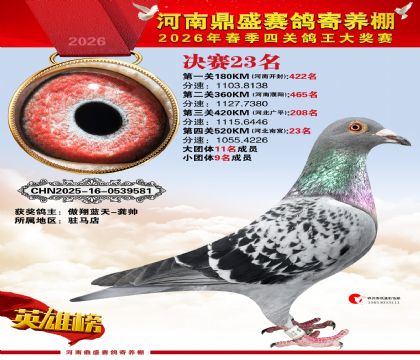 2026鼎盛春季赛决赛排位第23名