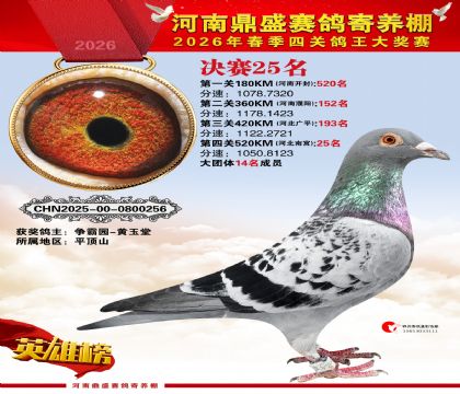 2026鼎盛春季赛决赛排位第25名