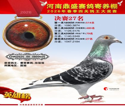 2026鼎盛春季赛决赛排位第27名