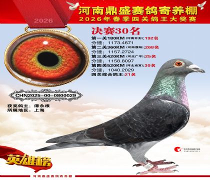 2026鼎盛春季赛决赛排位第30名